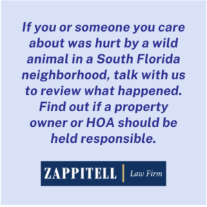 wild animals in Boca Raton